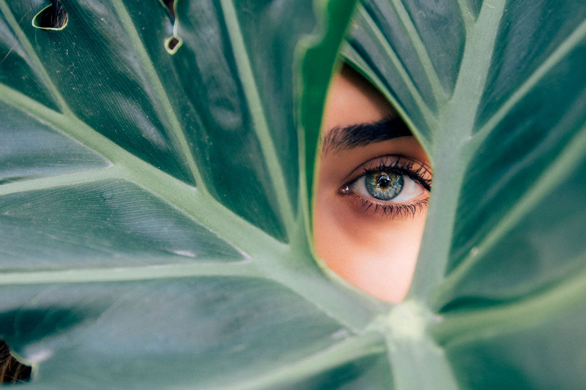clean et bio - WE ARE CLEAN - CLEAN BEAUTY Image