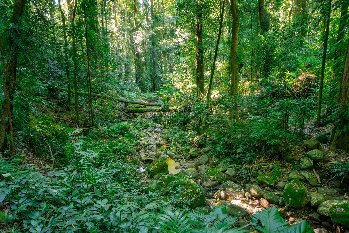 Biodiversité en danger - CLEAN FOR GOOD - WE ARE CLEAN