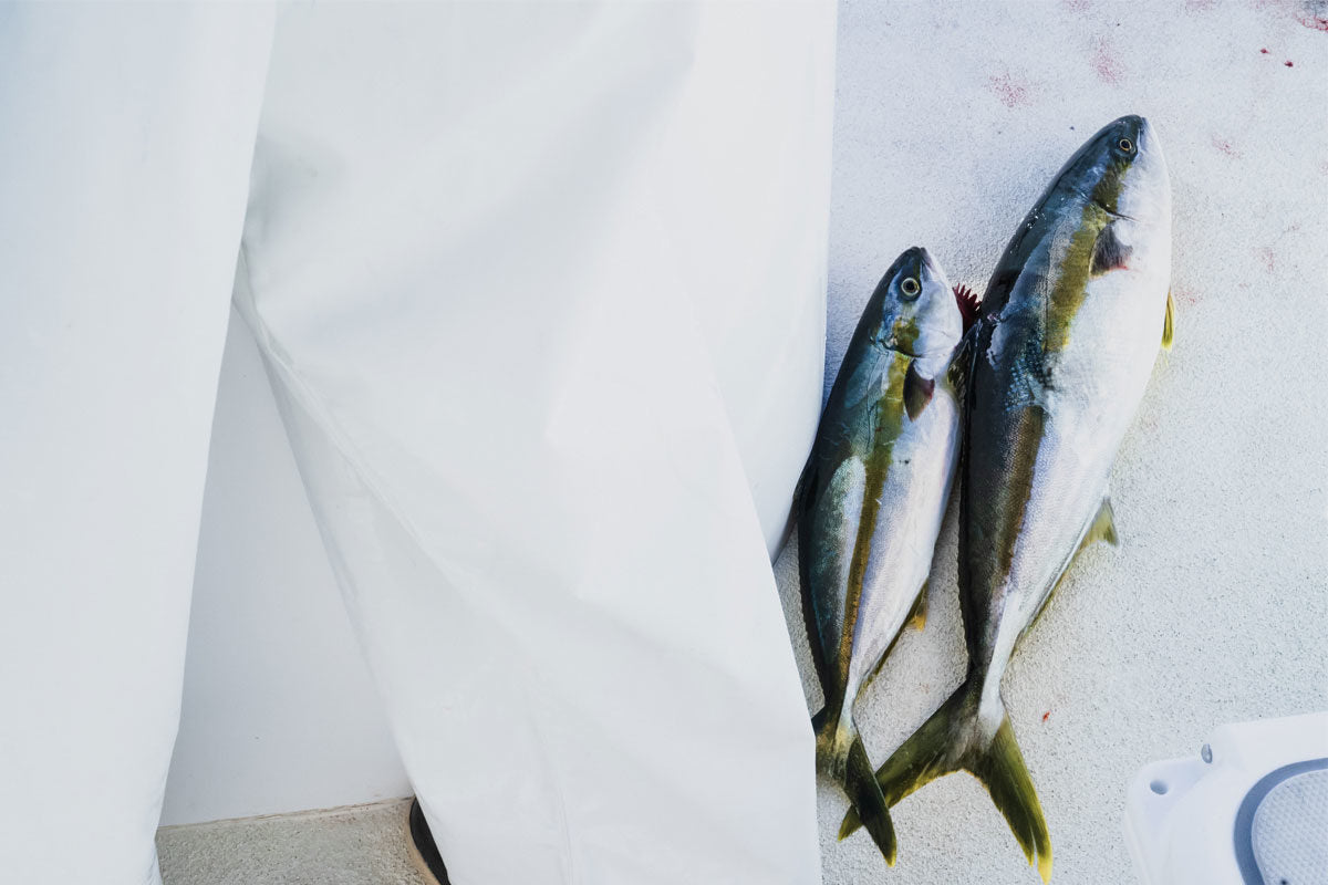 Poisson - WE ARE CLEAN - CLEAN EATING Image