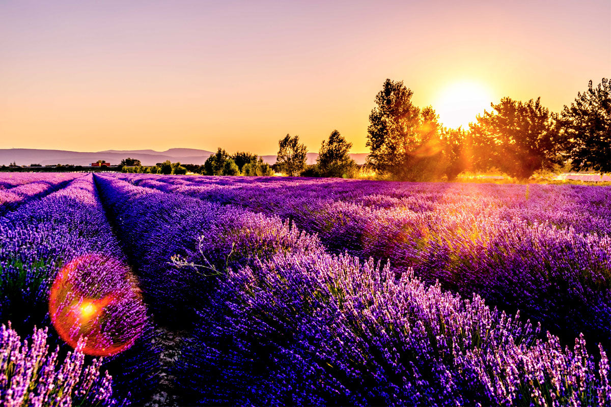 Made-in-France WE ARE CLEAN CLEAN BEAUTY Image