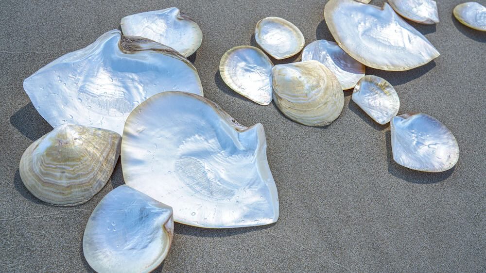 Quels sont les bienfaits de la crème de nacre pour la peau ?