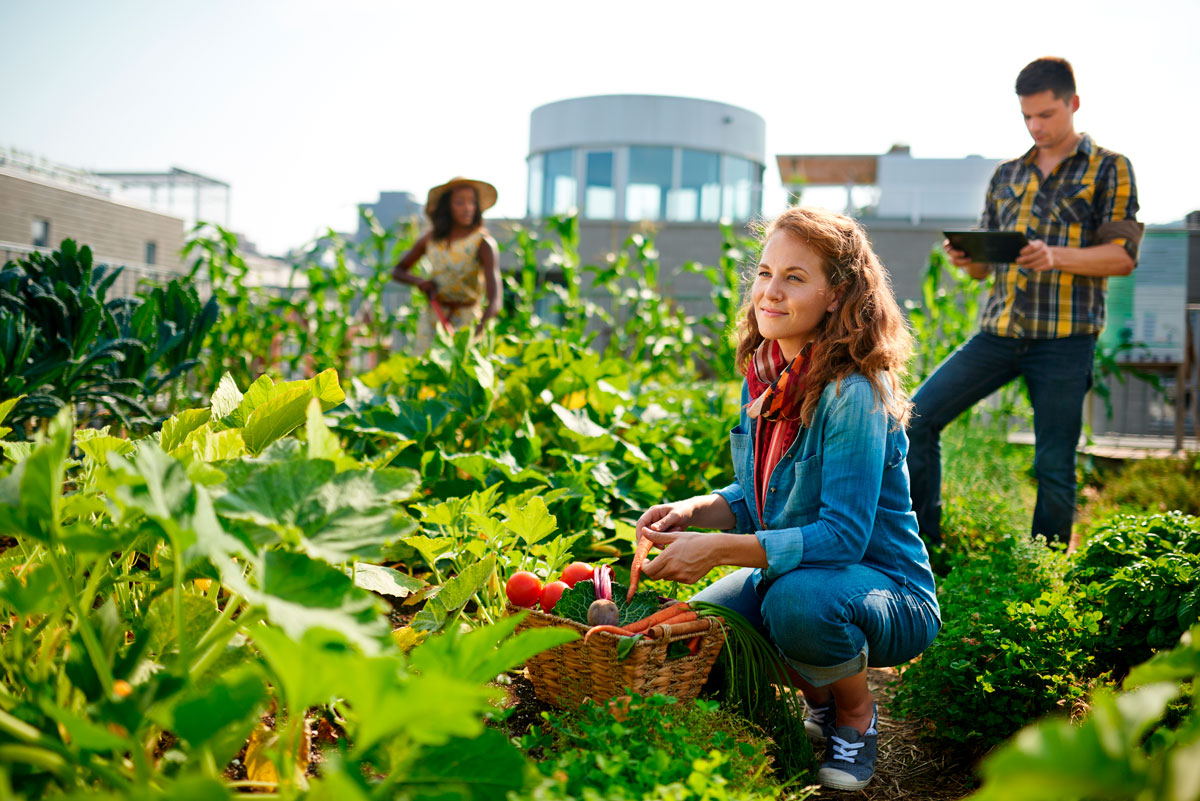 permaculture - Clean Planet - We Are Clean