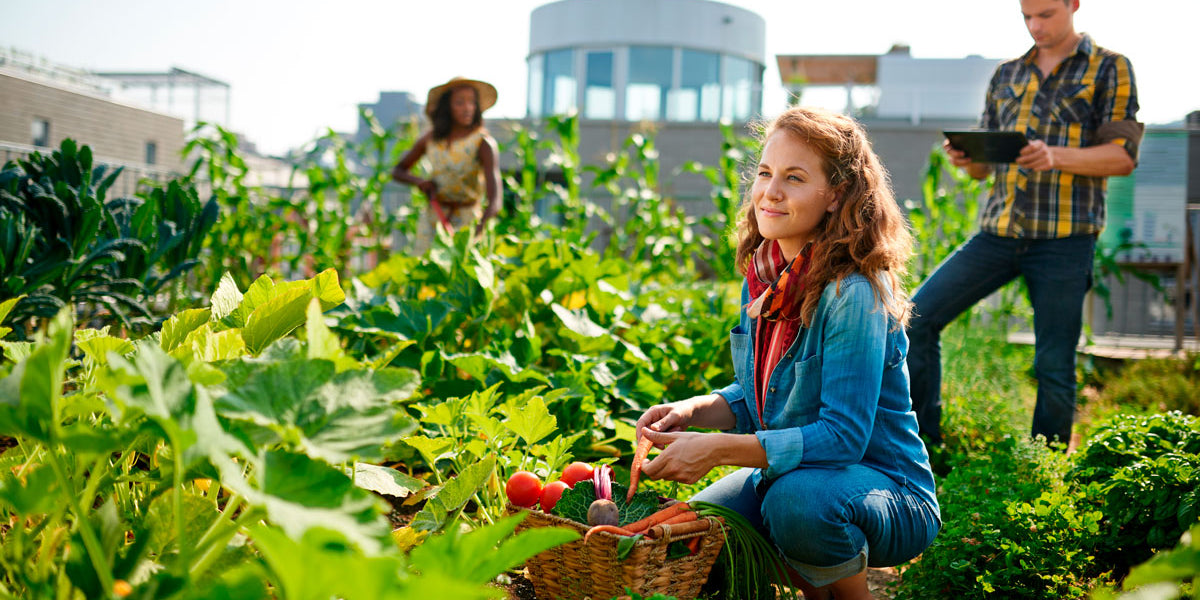 permaculture - Clean Planet - We Are Clean