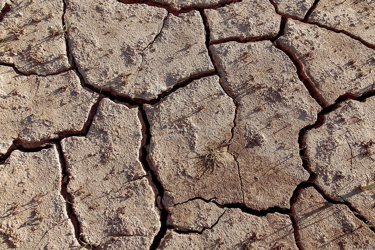 réchauffement climatique - WE ARE CLEAN - CLEAN FOR GOOD