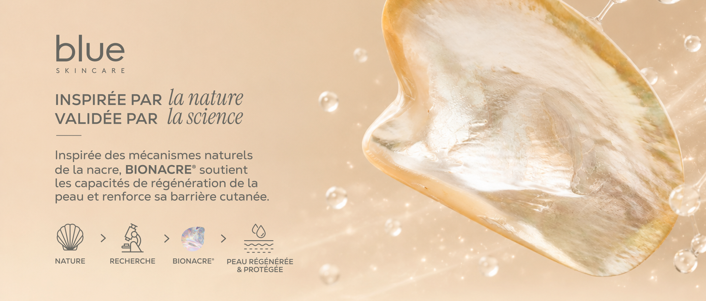 Bionacre soutient les capacités de régénération de la peau et renforce sa barrière cutanée
