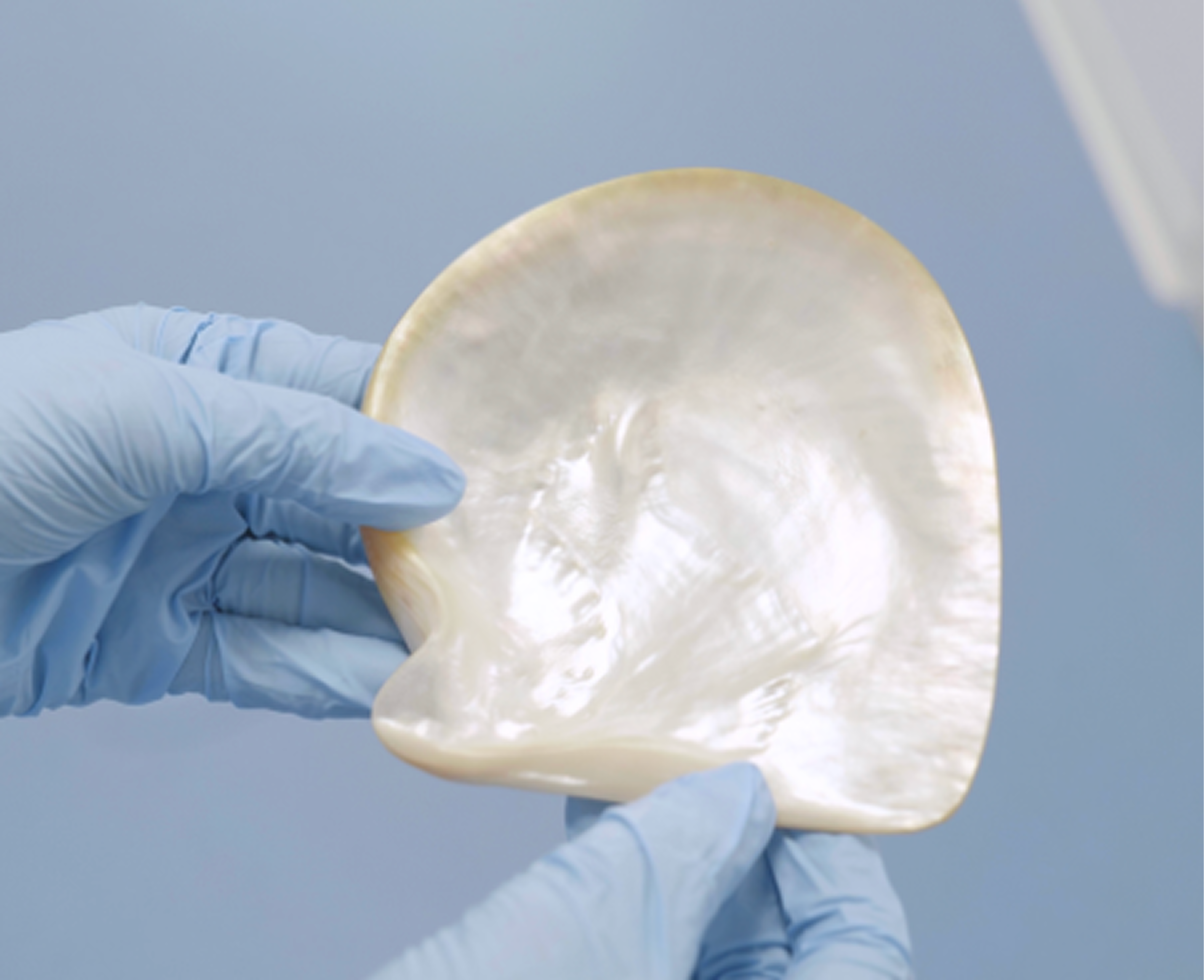 Bionacre, un actif puissant régénérant