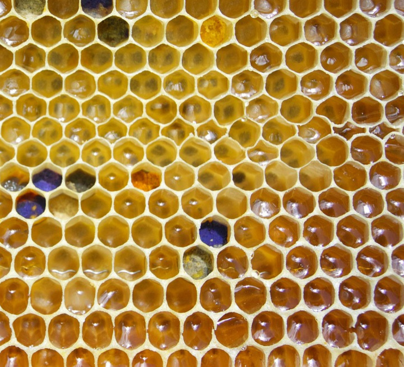 CIRE ABEILLE 