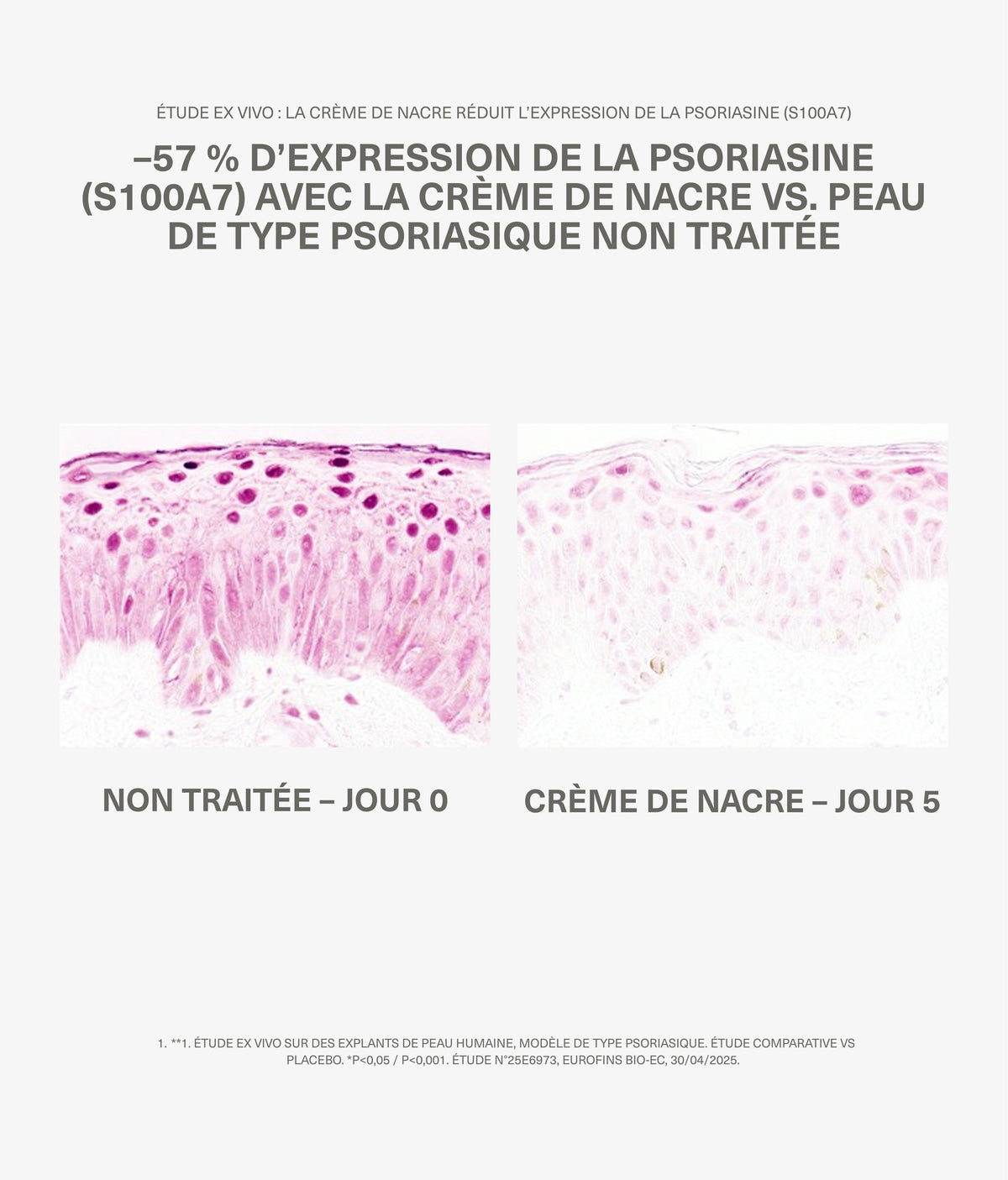 CRÈME DE NACRE - Bionacre