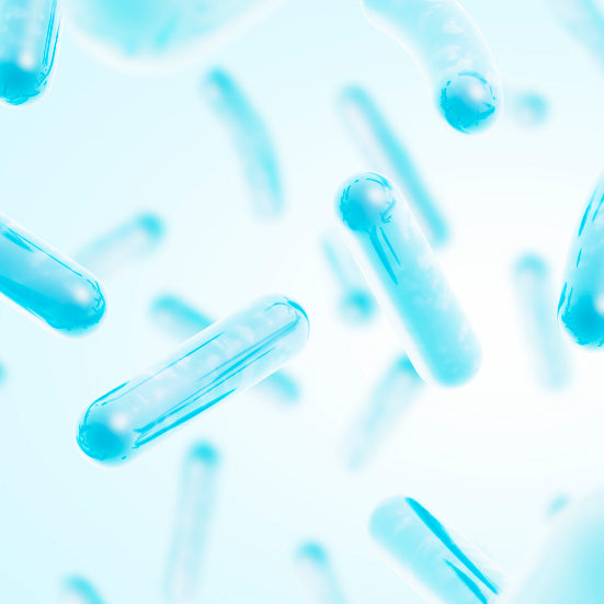 FERMENTS LACTIQUES TYNDALLISÉS 
