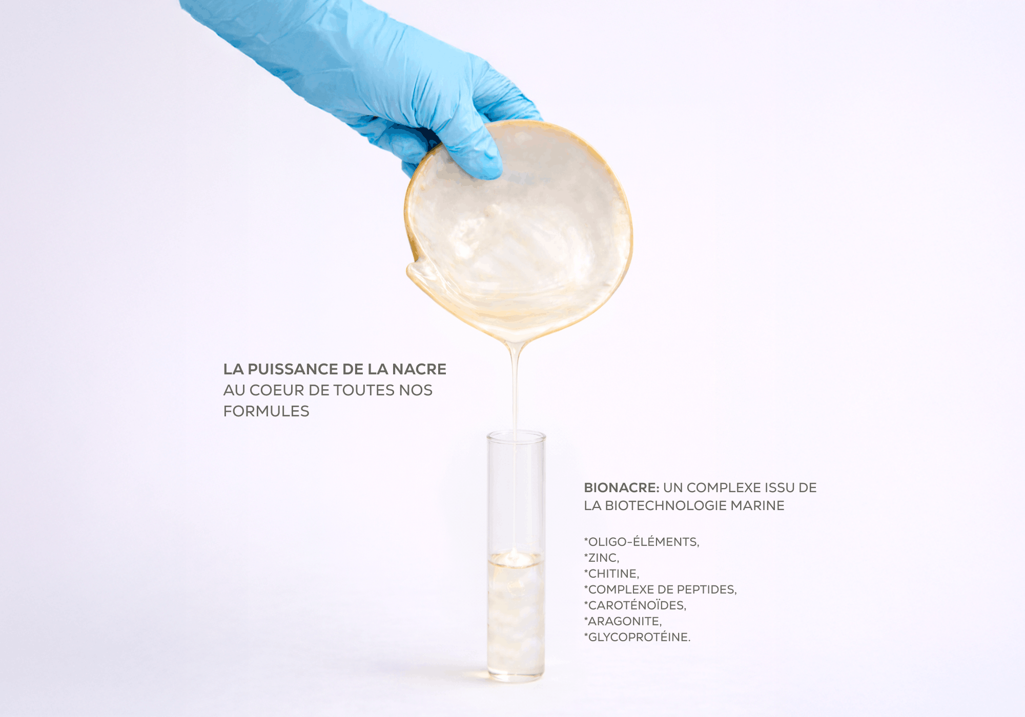 Coquille de nacre étudiée en laboratoire pour développer des actifs marins destinés à la réparation et au confort de la peau.