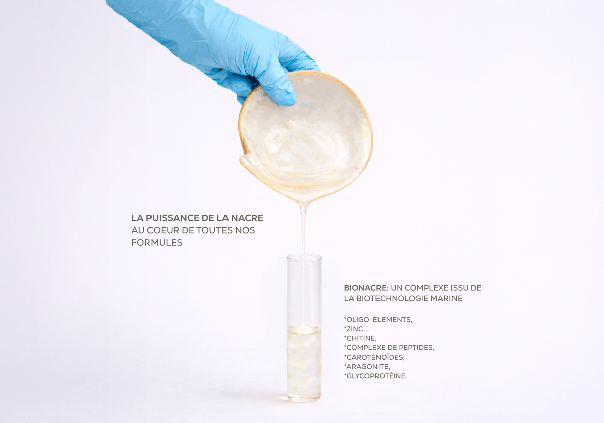 Coquille de nacre étudiée en laboratoire pour développer des actifs marins destinés à la réparation et au confort de la peau. Image