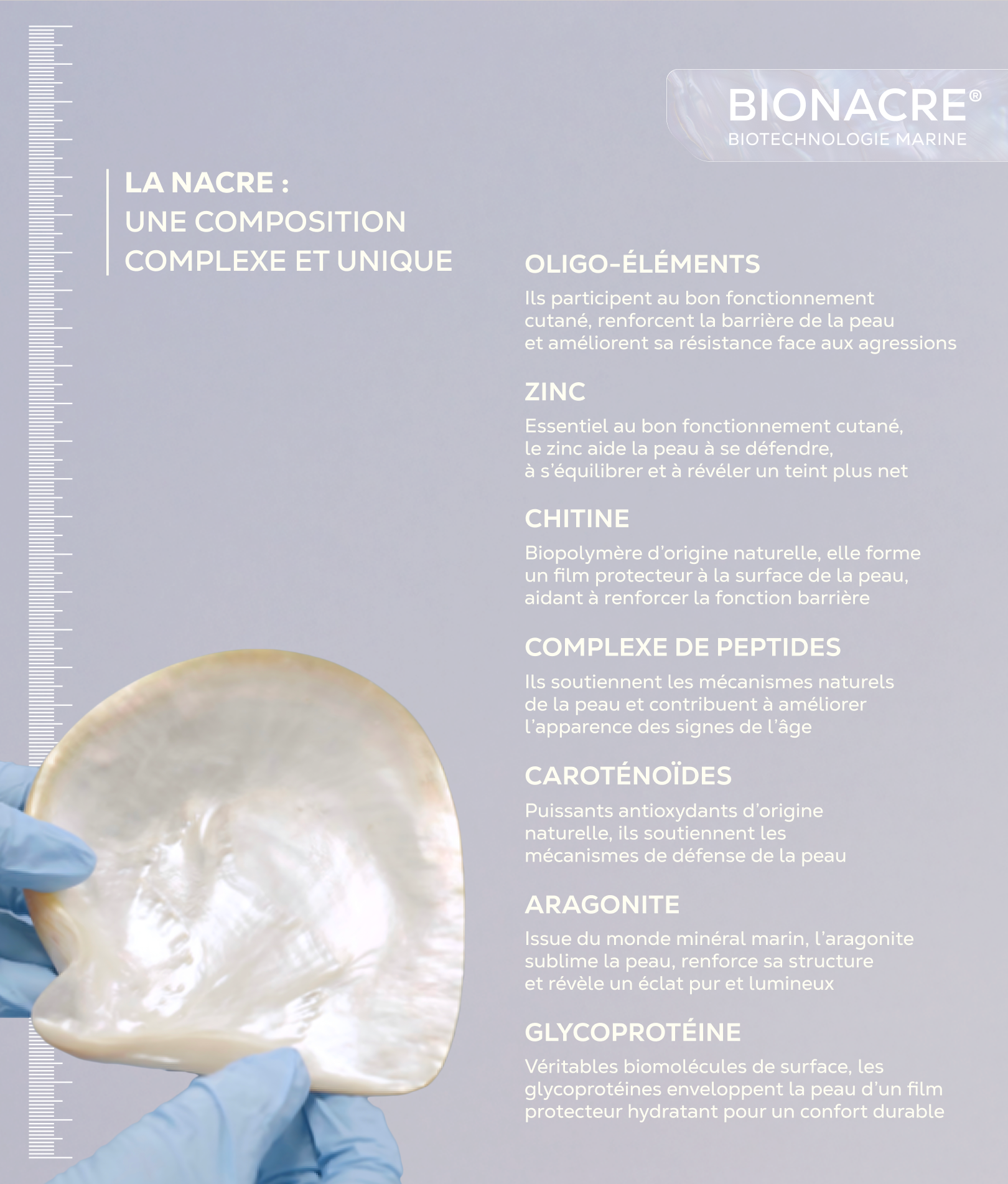 La composition de BIONACRE montre la multitude et la grande diversité des composés organiques comme les oligo-éléments, le zinc, chitine, complexe de peptides, caroténoïdes, aragonite, glycoprotéine ; tous bénéfiques pour la peau.